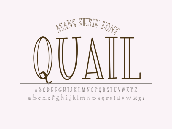 Discover the Playful Charm of the Quail Typeface